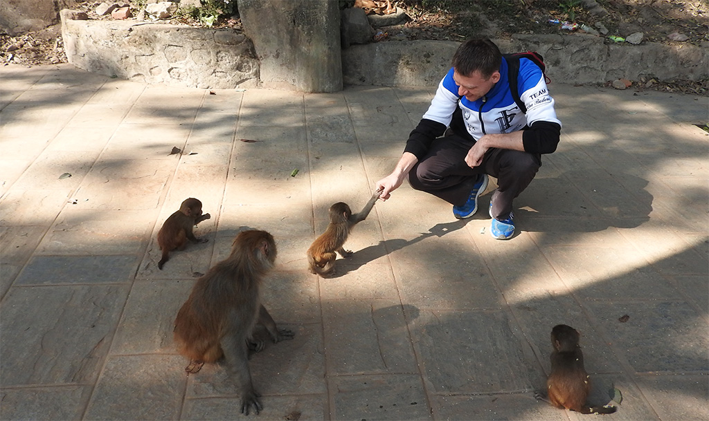 Több helyen is jól el lehet majomkodni.